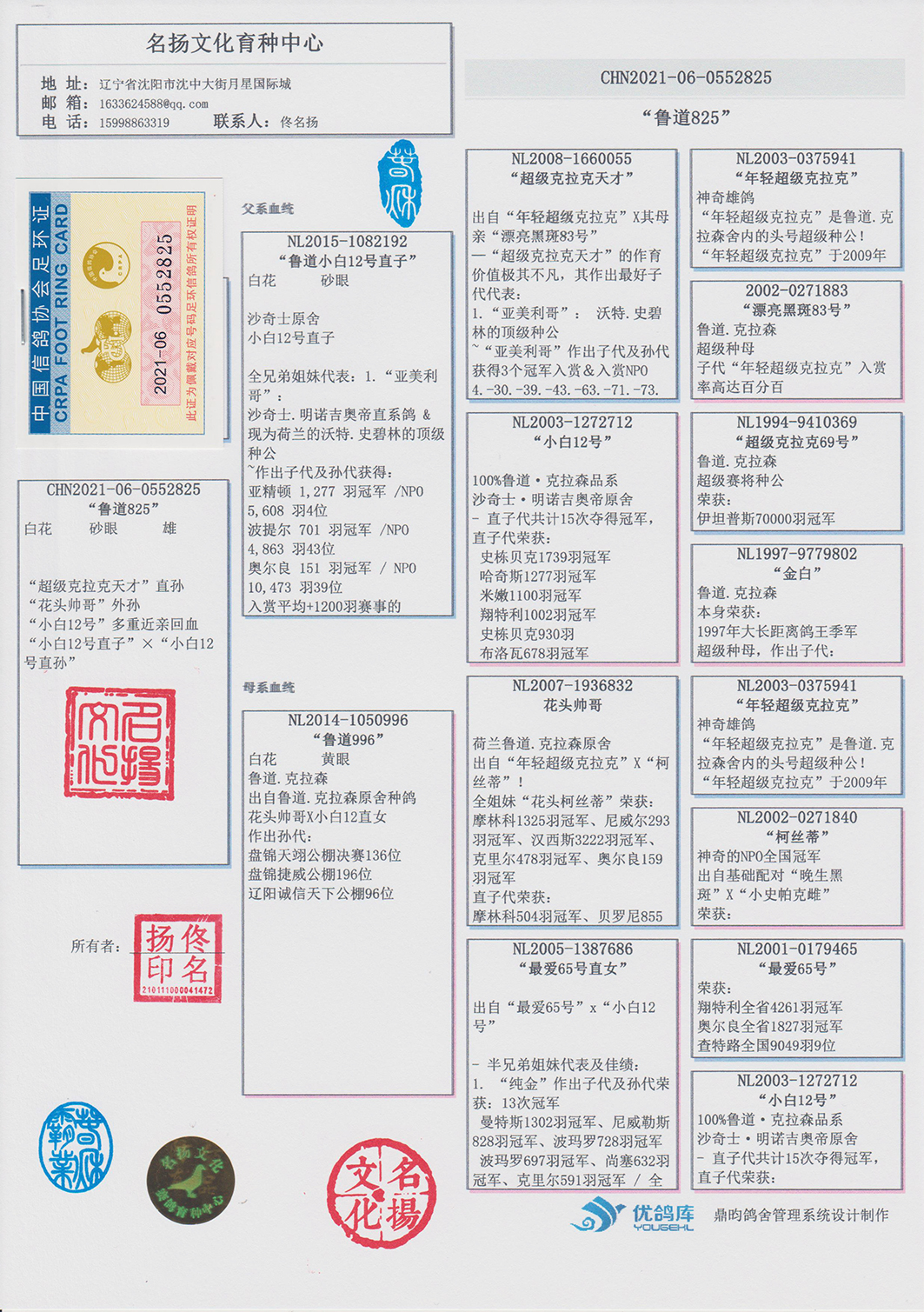 “OUD400.53版精准管家婆大联盟调整版特色与综合评估标准”