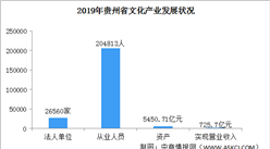 澳门今晚三肖兔羊蛇预测分析：编程版DKQ986.81综合评估