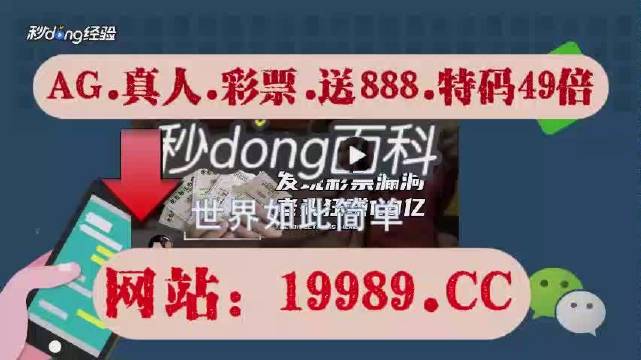 2024新澳门天天开奖攻略,行家解答解释落实_影视版11.247