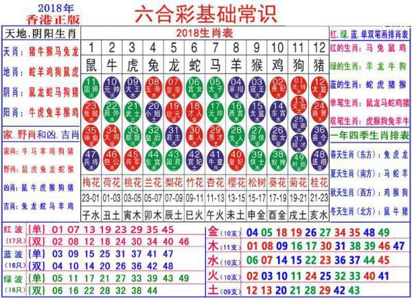 2024澳门正版资料大全资料生肖卡,纯正解答解释落实_绝佳款4.658