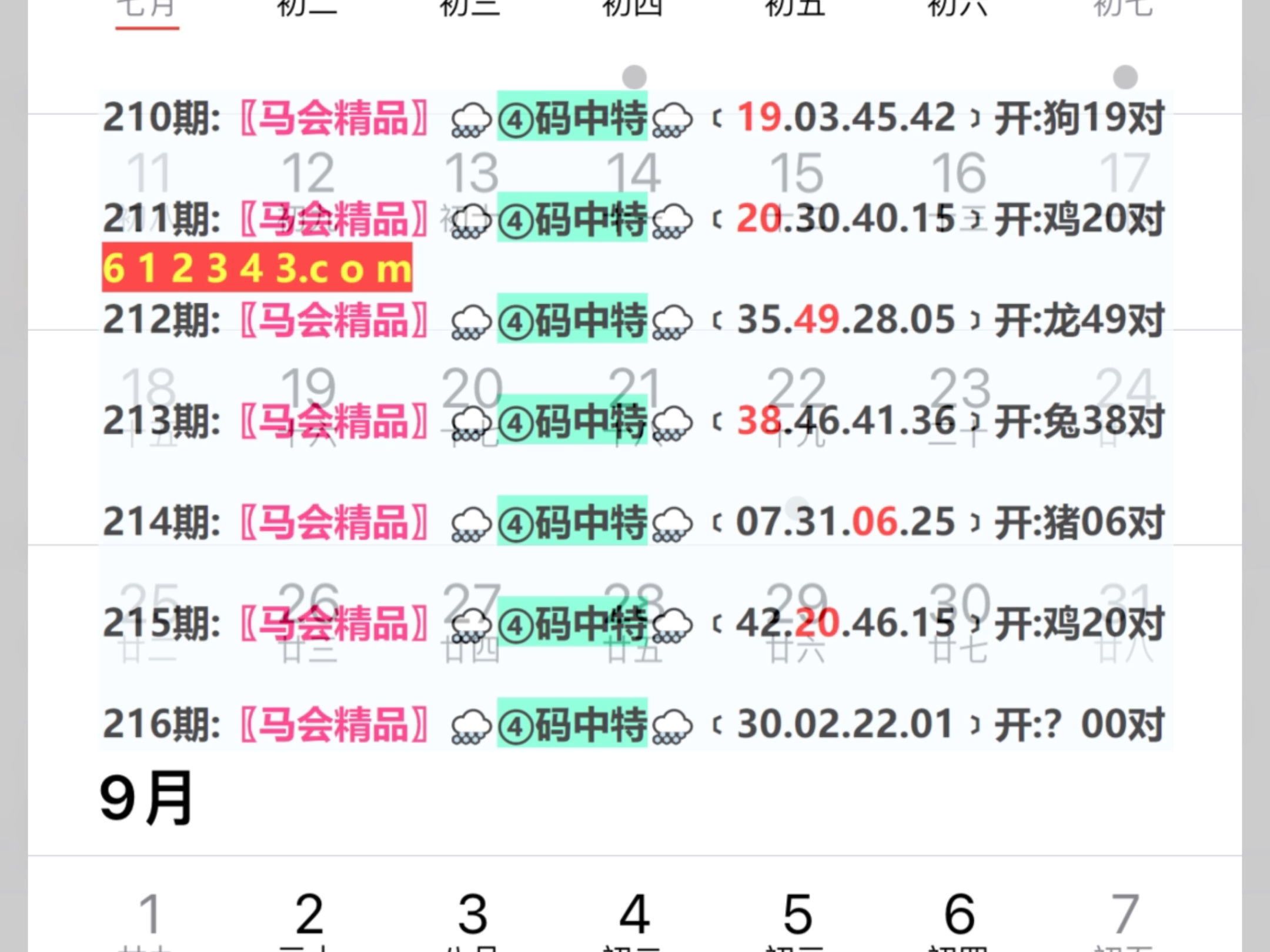 2024年澳门天天有好彩,准确资料解释落实_体验版37.216