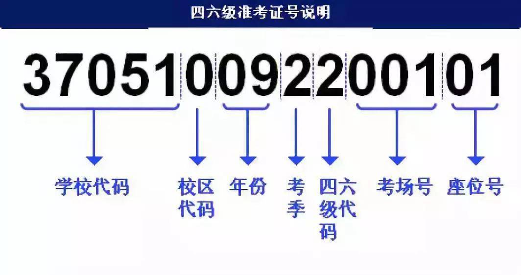 澳门9点内部码群,迅捷解答方案设计_旗舰版17.769