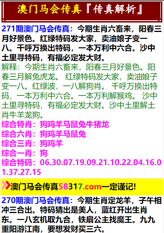 2024新奥门管家婆马会传真,诠释解析落实_超值版81.389