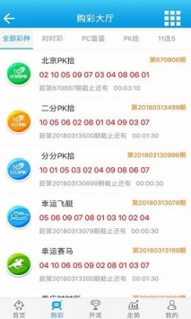 澳门王中王100%期期中,现状解答解释定义_iPad57.840