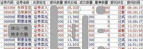 新澳门王中王100%期期中,深入数据应用计划_PalmOS79.295